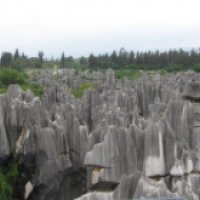 Каменный лес Шилинь 
