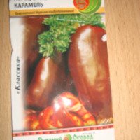 Семена перца сладкого Русский огрод "Карамель"