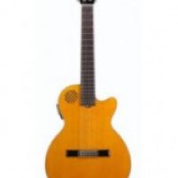 Ashtone AE-614 - электроакустическая гитара