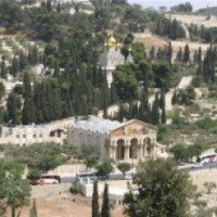 Экскурсия в Гефсиманский сад (Израиль, Иерусалим)
