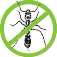 Борьба с домашними муравьями, дезинсекция, вызов санэпидемстанции "Дезфлор" 