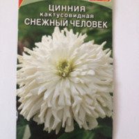 Семена Циния Кактусовидная СНЕЖНЫЙ ЧЕЛОВЕК "АЭЛИТА"
