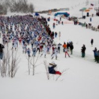Лыжный марафон Хепоярви в Токсово (Россия, Ленинградская область)