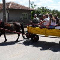 Экскурсия "Веселое село Солник" 