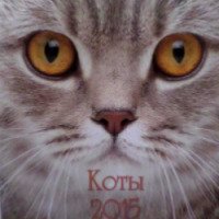 Календарь "Коты" - издательство Виват