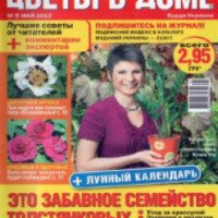 Журнал "Цветы в доме" - издательство Бурда