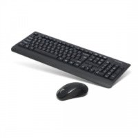 Беспроводные клавиатура и мышь Delux К3100 +М391