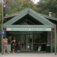 Парк Healesville Sanctuary (Австралия, Мельбурн)