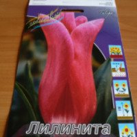Луковицы тюльпана Colorline "Лилинита"