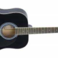 Акустическая гитара SAVANNAH SG-610