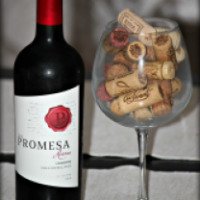 Вино красное сухое Promesa Carmenere Reserva