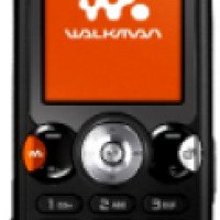 Сотовый телефон Sony Ericsson w810i