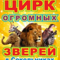 Цирковая программа "Цирк огромных зверей в Сокольниках" (Россия, Москва)