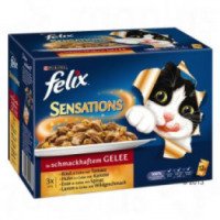 Корм для кошек Felix Sensation