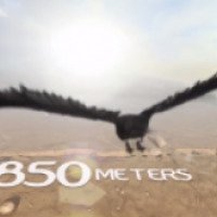 Короткометражный мультфильм "850 метров" (2013)