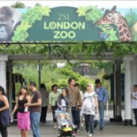 Зоопарк ZSL London Zoo (Англия, Лондон)
