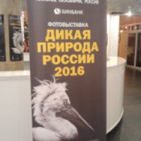 Выставка "Дикая природа России" в ЦДХ (Россия, Москва)