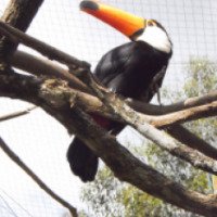Зоопарк Gramado Zoo (Бразилия, Риу-Гранди-ду-Сул)