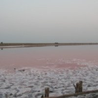 Розовое озеро 