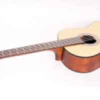 Классическая гитара Parkwood PC90