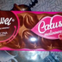 Молочный шоколад Wawel Catusy
