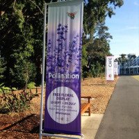 Выставка цветов "Pollination" The Calyx (Австралия, Сидней)
