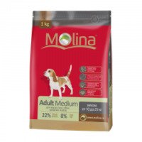 Корм для взрослых собак средних пород Molina Adult Medium
