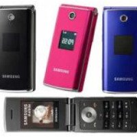 Сотовый телефон Samsung SGH-E210