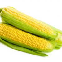 Кукуруза в початках Тайрос "Sweet corn"