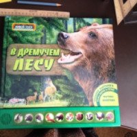 Книга "В дремучем лесу" - издательство Азбукварик