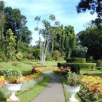 Королевский ботанический сад (Шри-Ланка, Парадения)