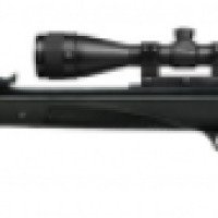 Пневматическая винтовка Diana 31 Panther Compact Combo