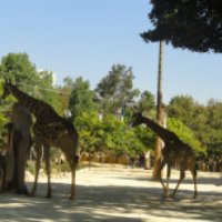 Лиссабонский зоопарк 