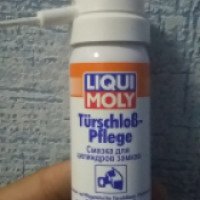 Смазка для цилиндров замков Liqui Moly Turschlosb -Pflege