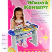 Синтезатор Bondibon Живой концерт 2038 ВВ0645