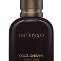 Мужская парфюмерная вода Dolce & Gabbana Intenso