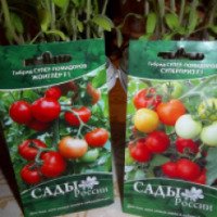 Семена томатов "Сады России"