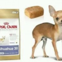 Корм для щенков Royal Canin Junior для чихуахуа