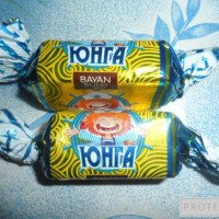 Конфеты Баян-Сулу "Юнга в шоколадной глазури"