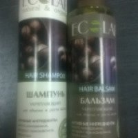 Шампунь и бальзам для волос Ecolab
