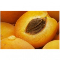 Косметическое масло Oleum Prunus Armeniaca Абрикосовое