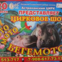 Цирковое шоу "Мото-мото Бегемото" (Россия, Астрахань)