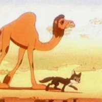 Мультфильм "Шакаленок и верблюд" (1956)