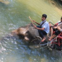 Экскурсия "Катание на слонах" 