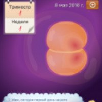 Счастливая беременность - приложение для iOS