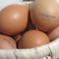 Яйца куриные пищевые столовые Возрождение "От молодок"