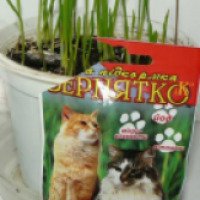 Зеленая подкормка для котов "Зернятко"