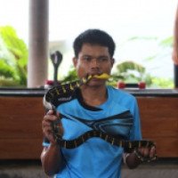 Змеиная ферма (Тайланд, Пхукет)