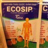 Пластырь лечебный Ecosip