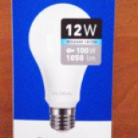 Светодиодная лампа Global Led 1-GBL-166 12W